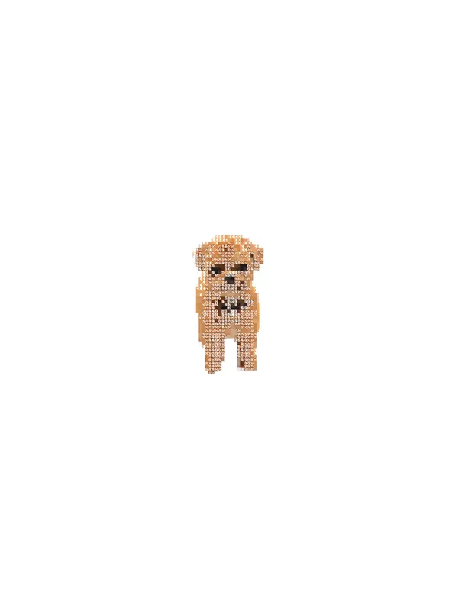 Bean — Design Dog